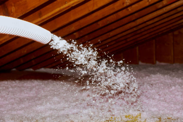 Best Residential Insulation in Royston, GA