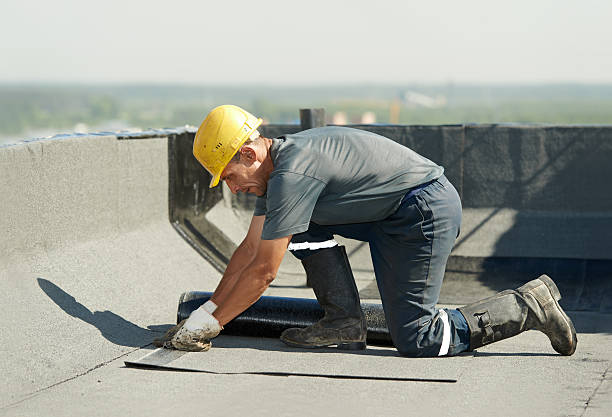 Types of Insulation We Offer in Royston, GA